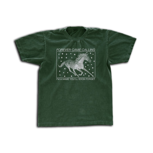 1 Wild Horses Lyric T Shirt
